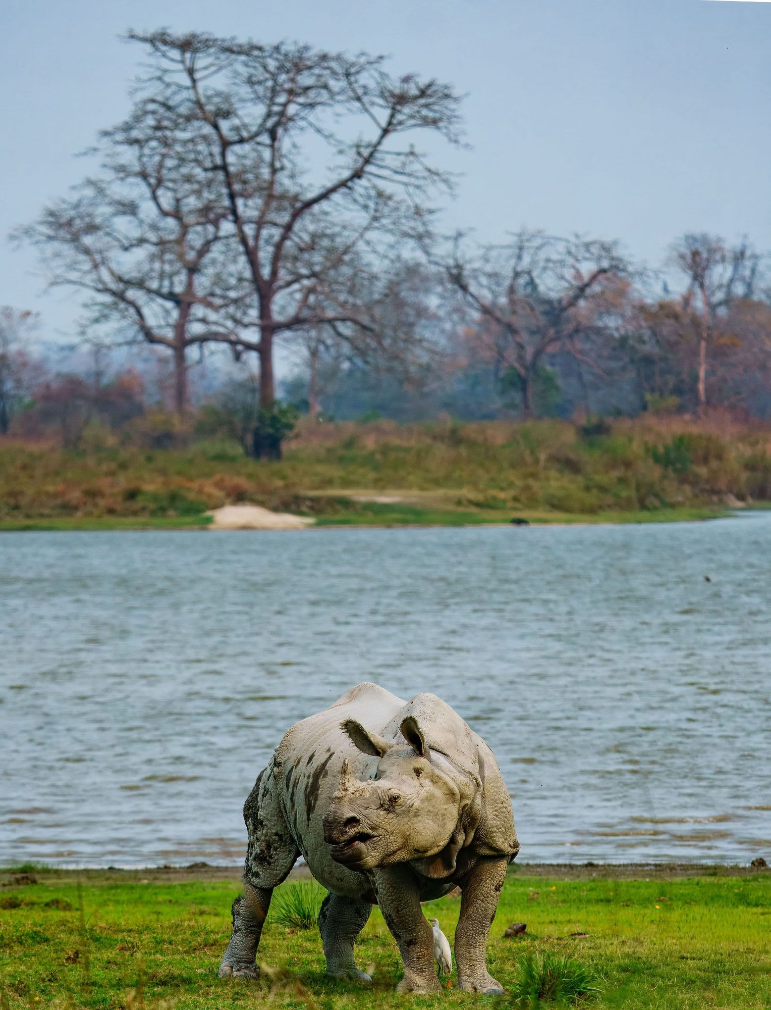 Arunachal with Kaziranga — photo 4