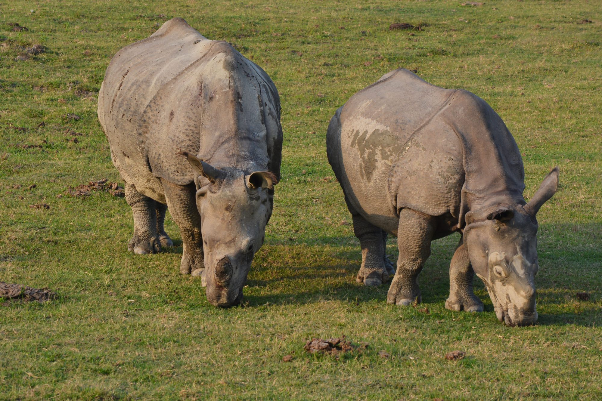 Arunachal with Guwahati and kaziranga — photo 2