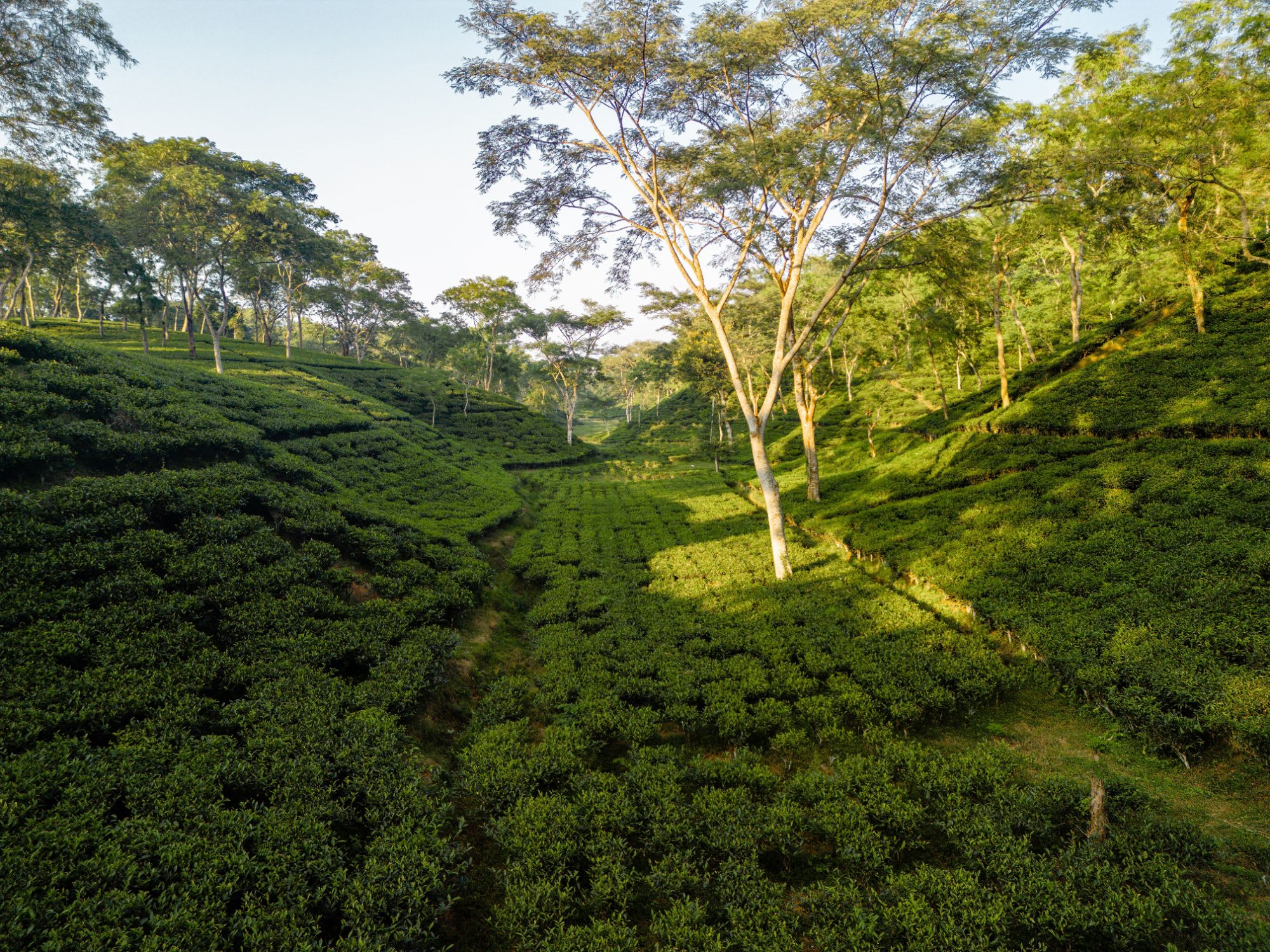 Sikkim Budget Trip — photo 4