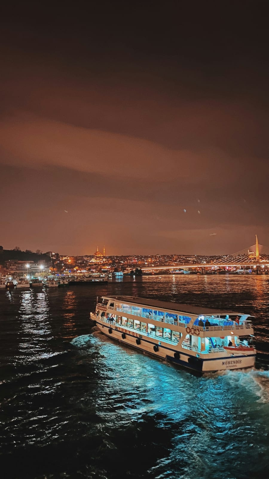 Bosphorus Cruise in Istanbul 