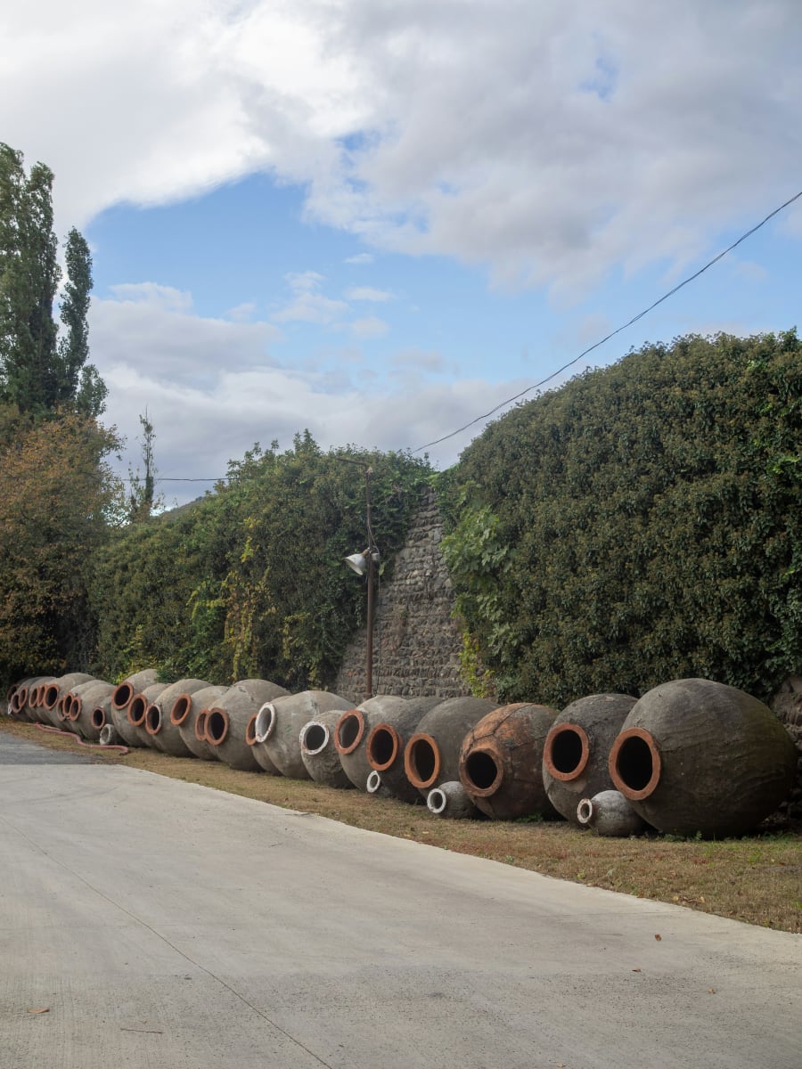Wine Tasting in Kakheti