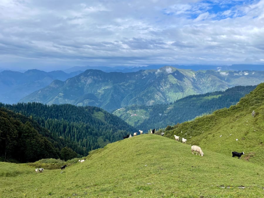 Tirthan Valley & Jibhi Escape