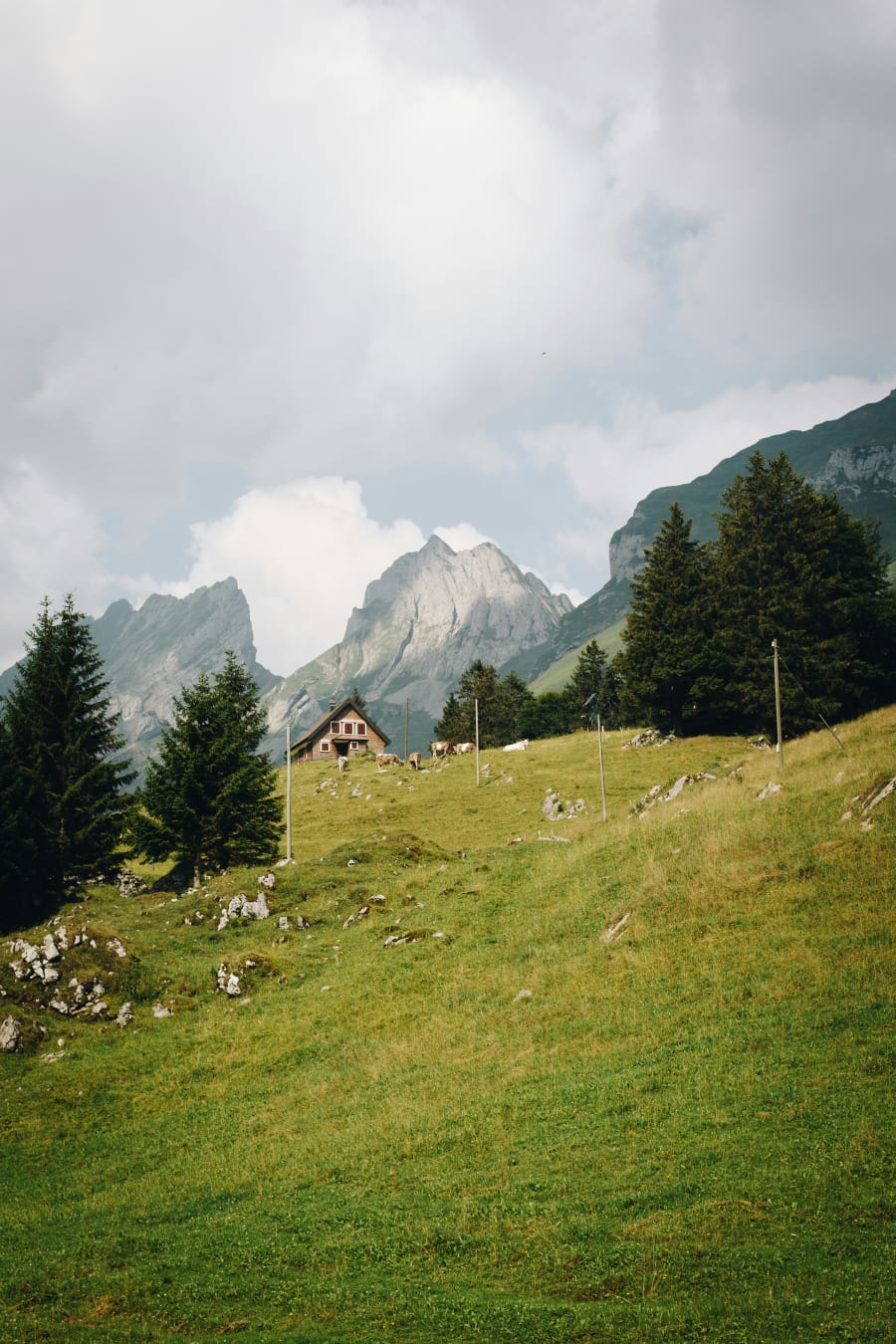 Experience the Swiss Alps