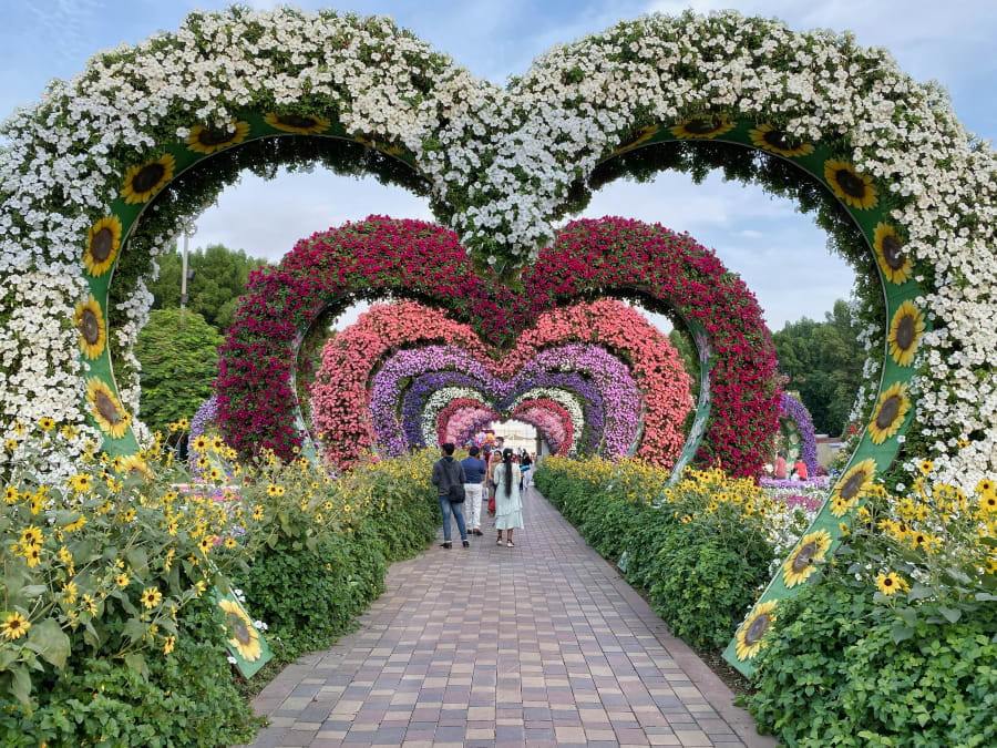 Miracle Garden