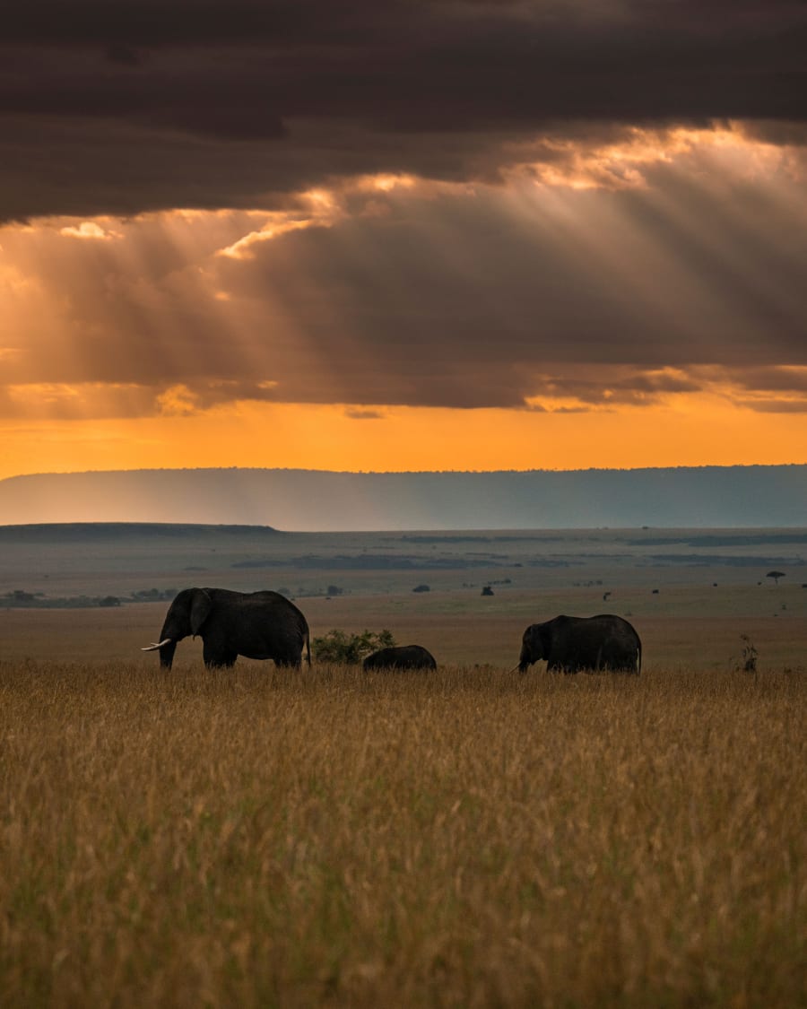 kenya