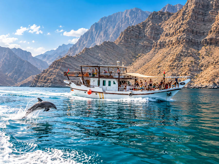 Dolphin Watching Cruise