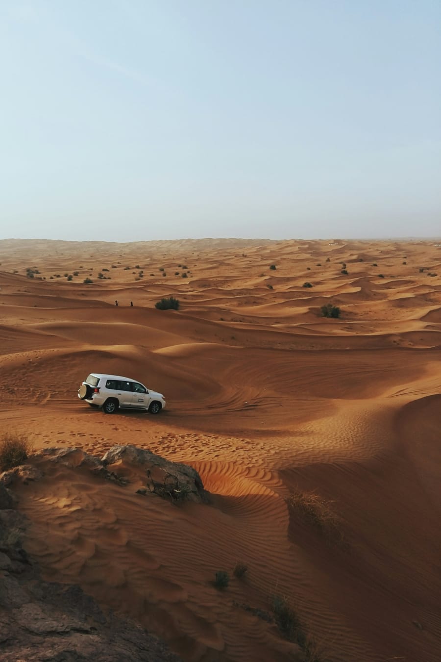 Arabian Desert Experience