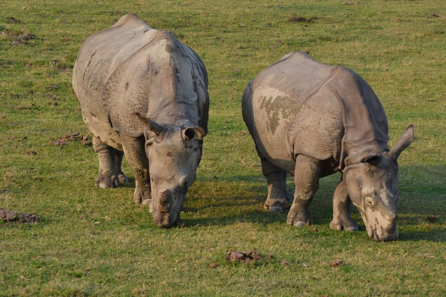 Arunachal with Kaziranga