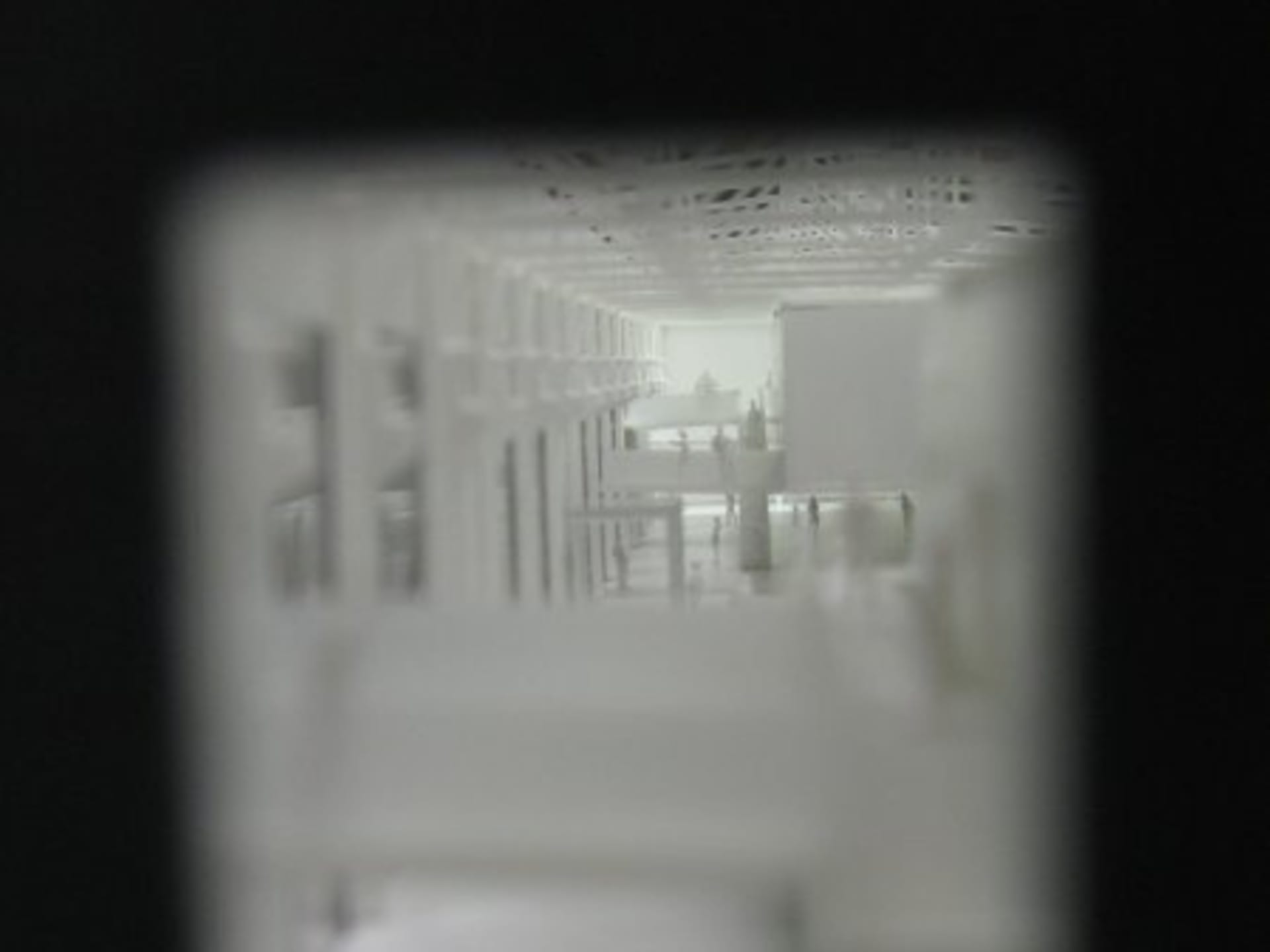 img_2535