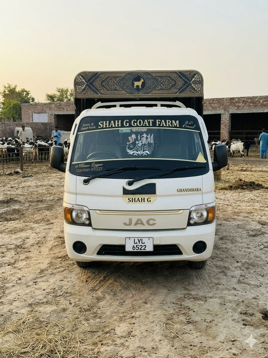 Transport