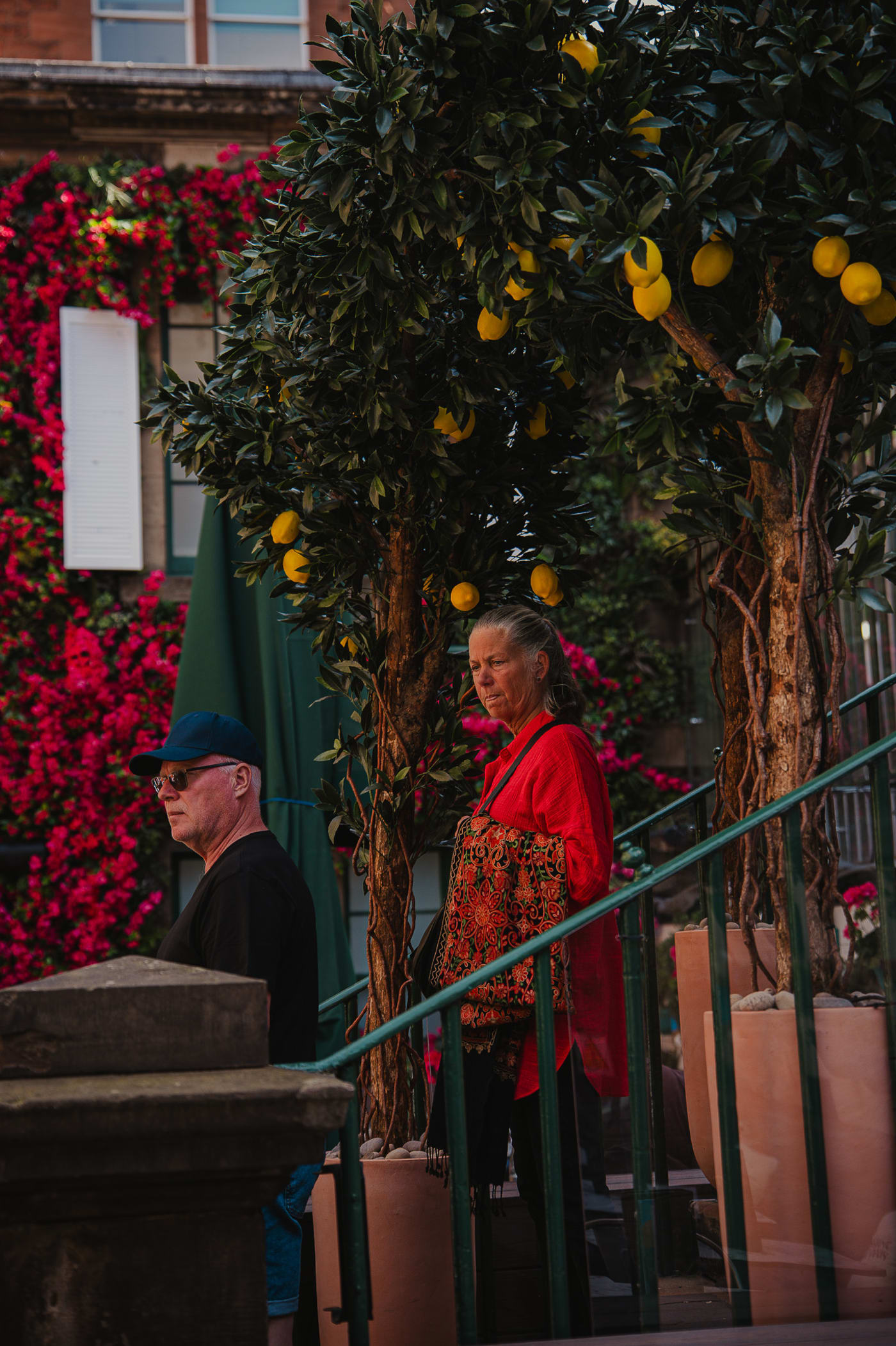 Guests by the lemon tree on the sunlit terrace at Rose Street Garden, Edinburgh