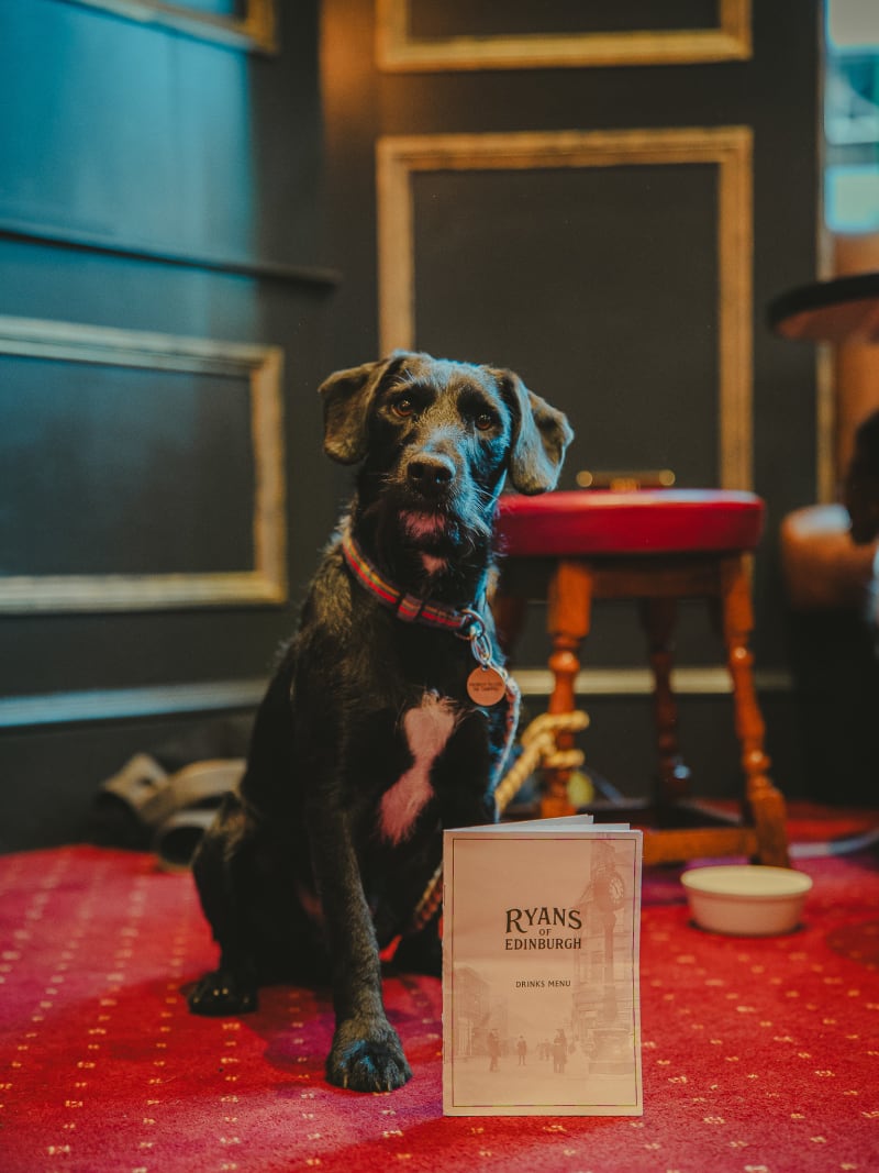 Dog beside the menu at dog-friendly Ryan's of Edinburgh
