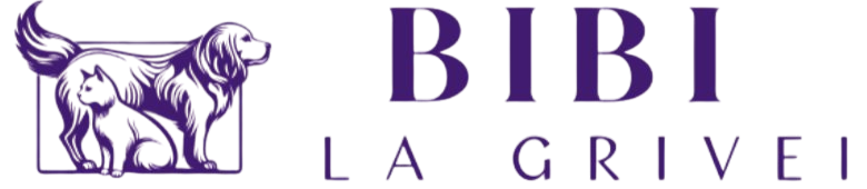 Logo Bibi la Grivei