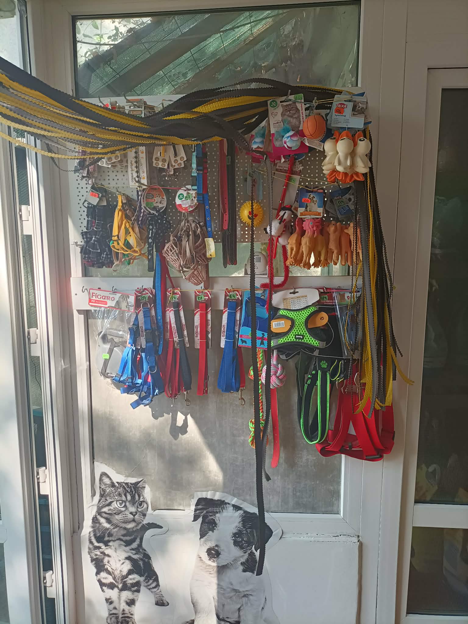 Lese și hamuri petshop