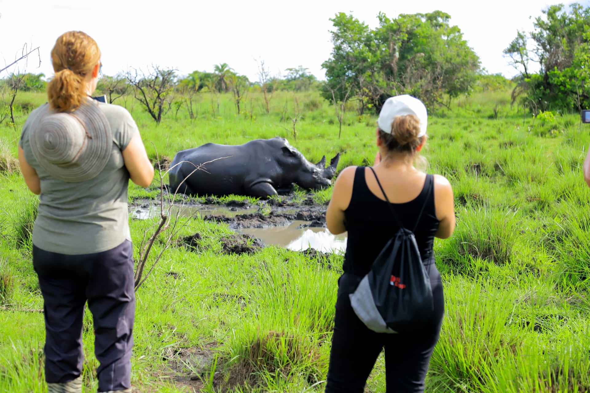 Uganda wildlife safari game drive in Queen Elizabeth National Park