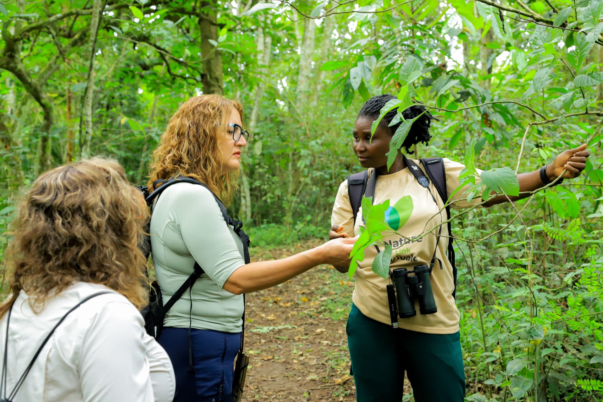 Green World Safaris expert local guide Uganda gorilla trekking safari