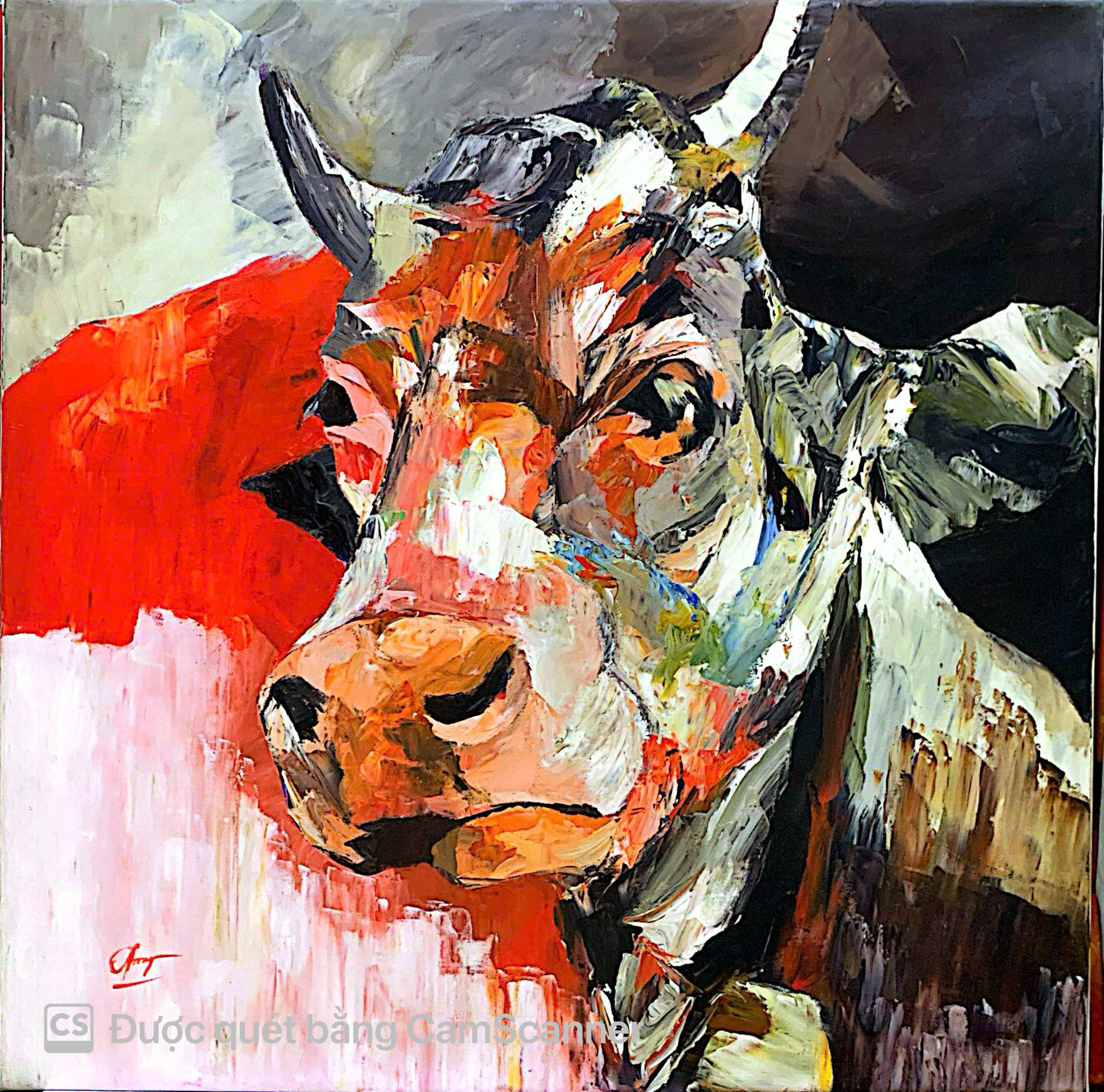 The cow