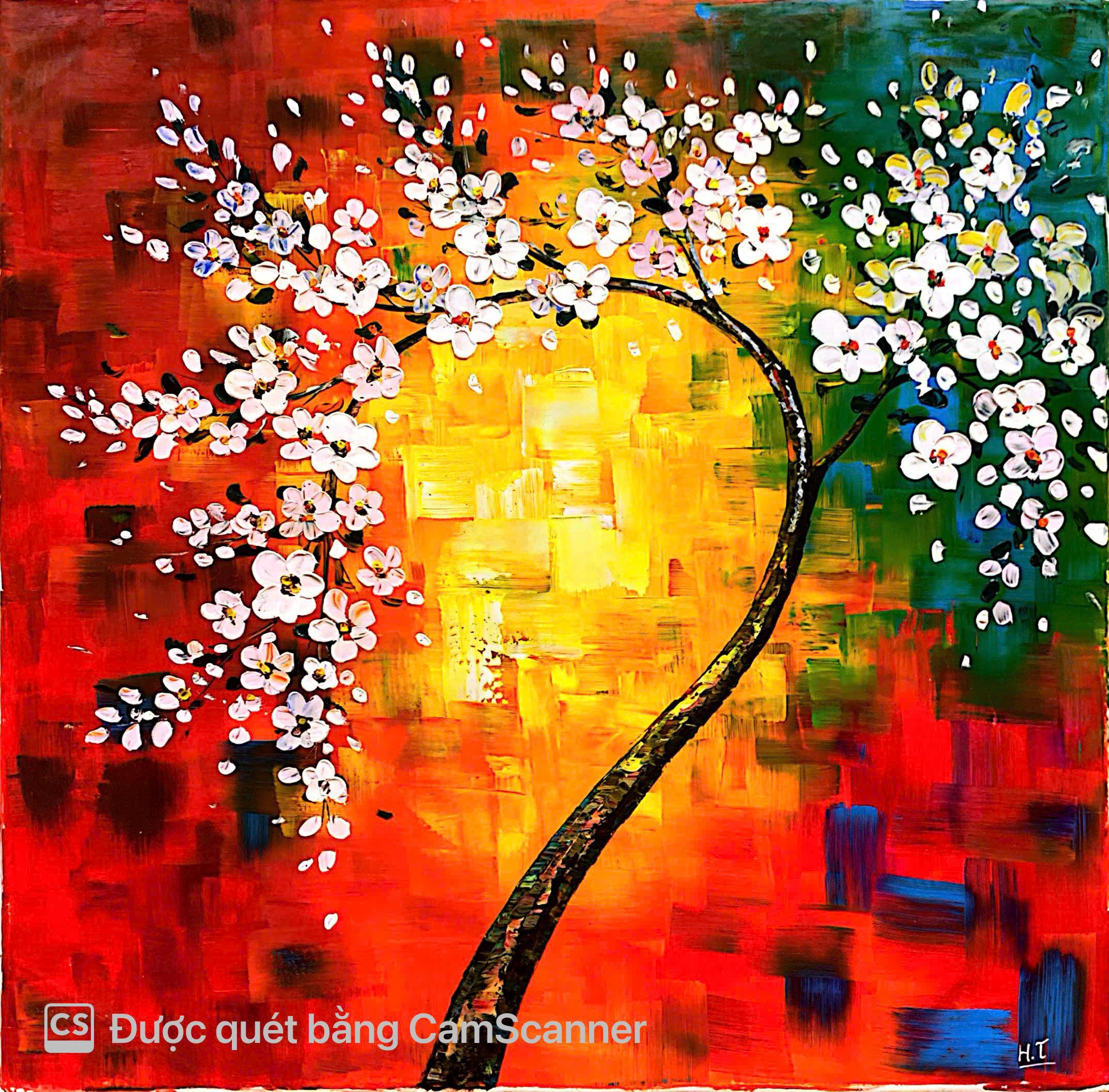 Cherry blossom