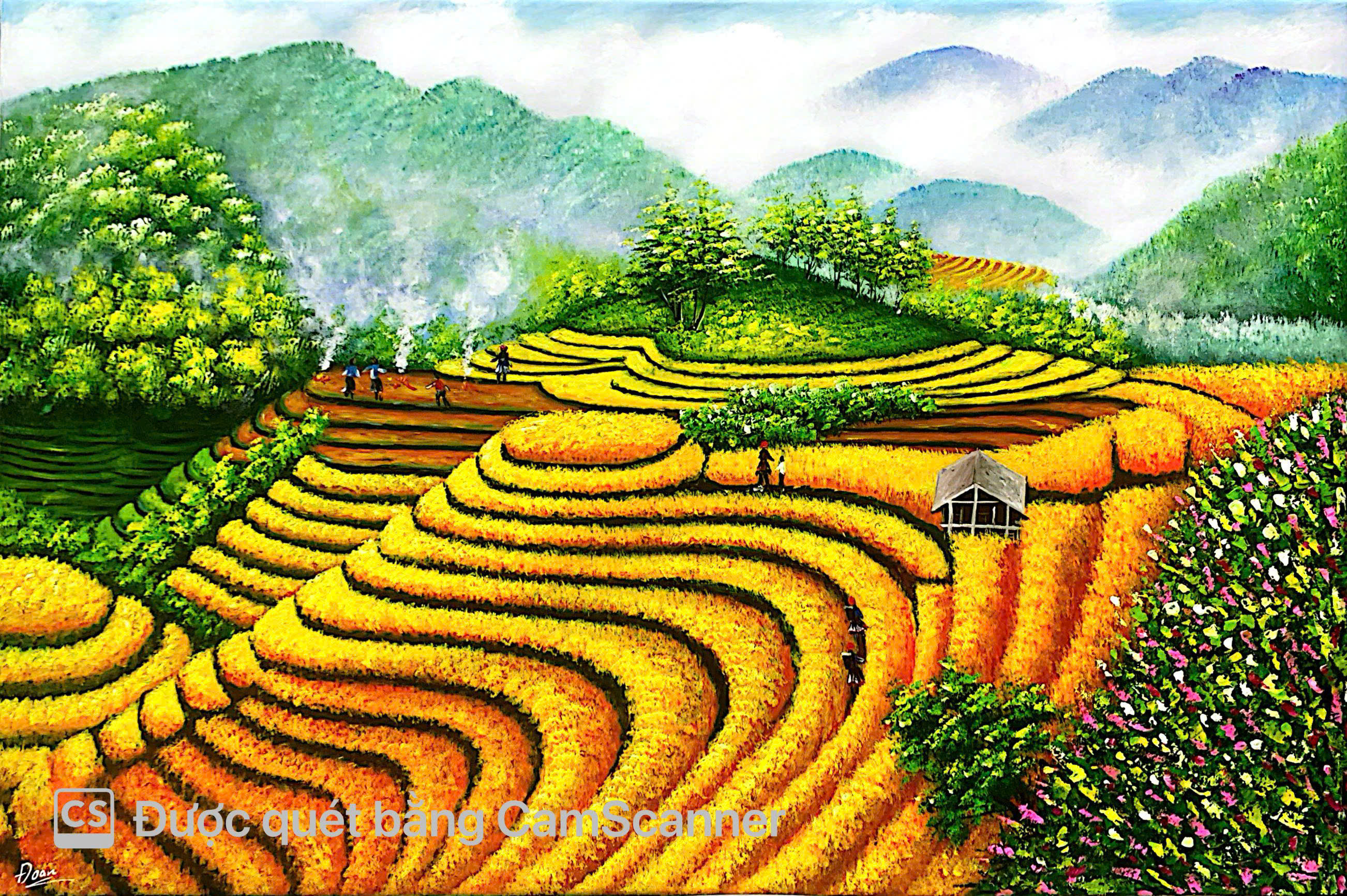 SaPa 4