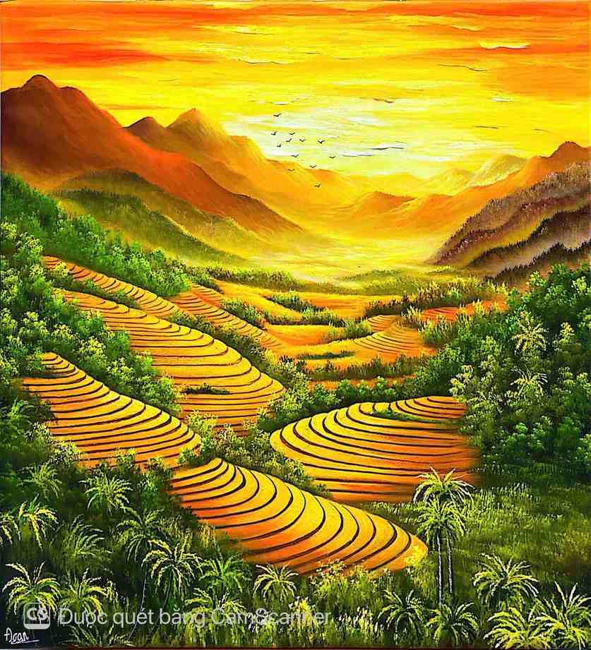 SaPa 5