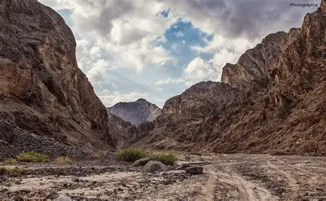 day 5
