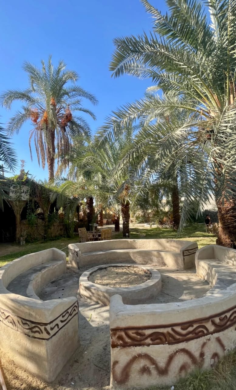 الواحي — 8