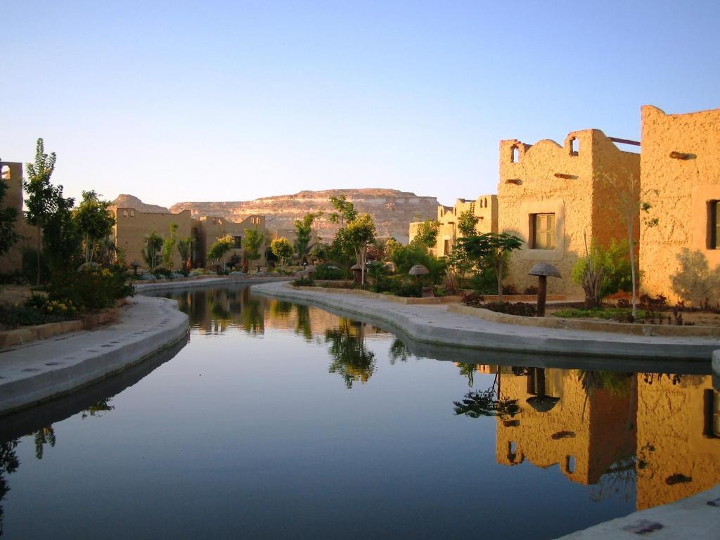 سيوة شالي — 8