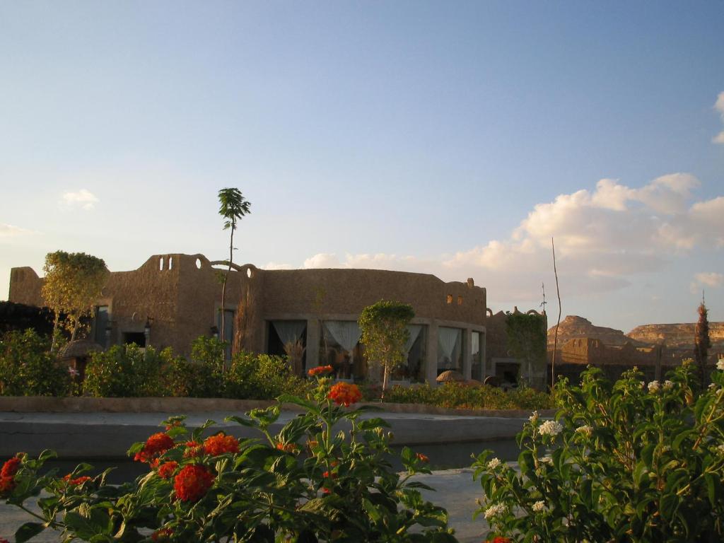 سيوة شالي — 7