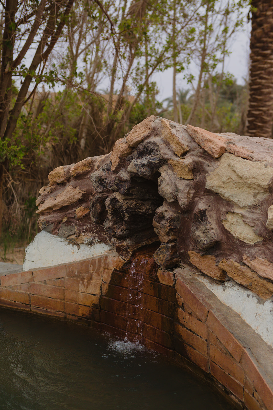 سيوة شالي — 29