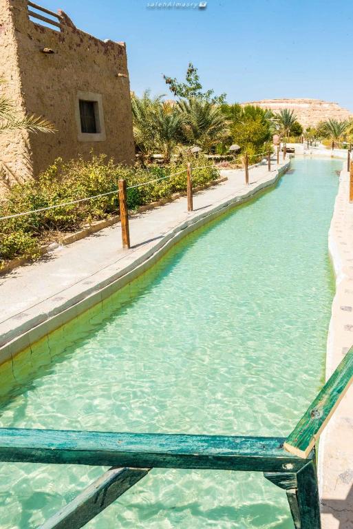 سيوة شالي — 21