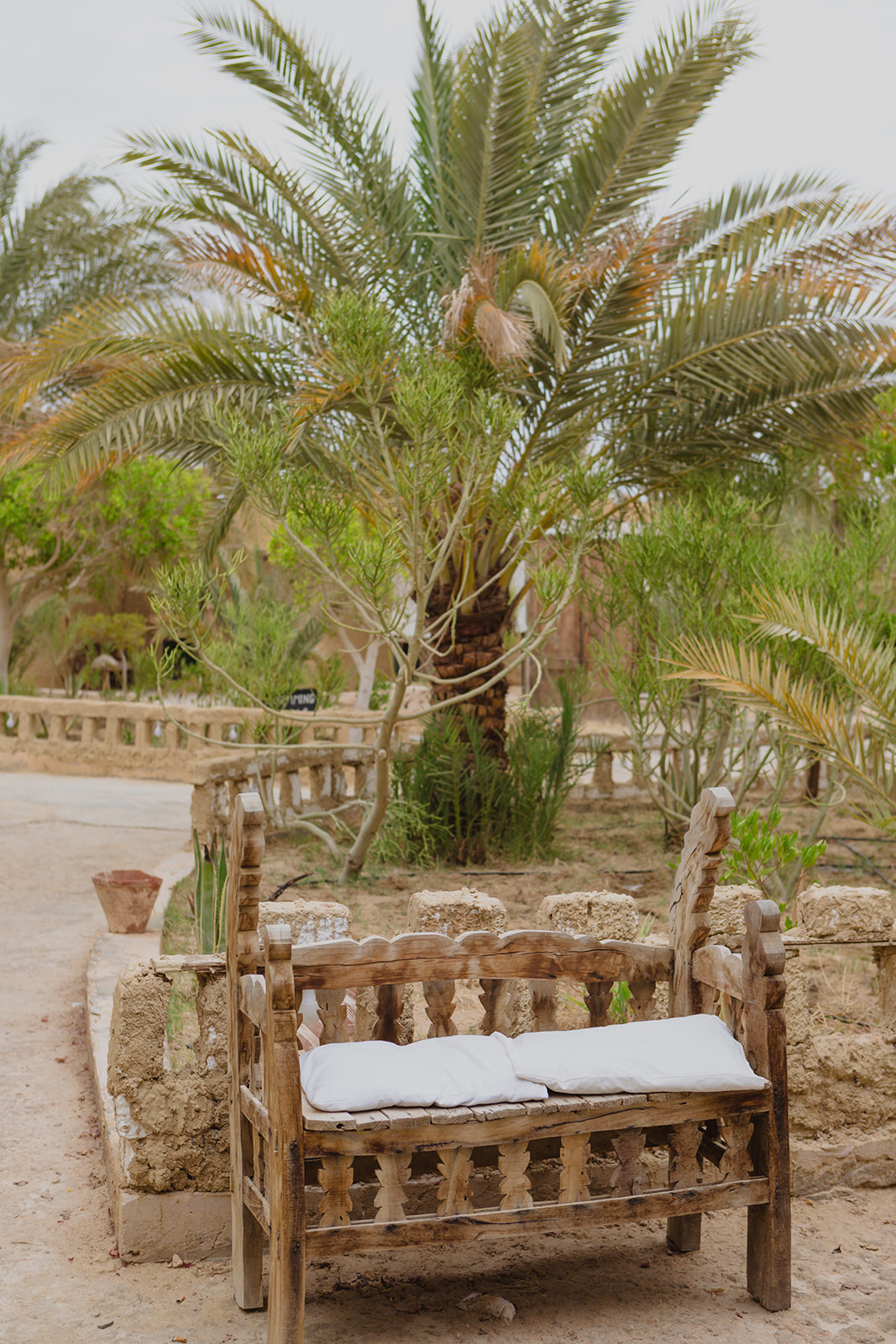 سيوة شالي — 31