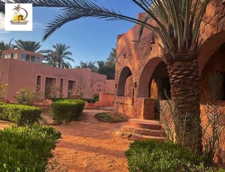 شمس سيوه — 14