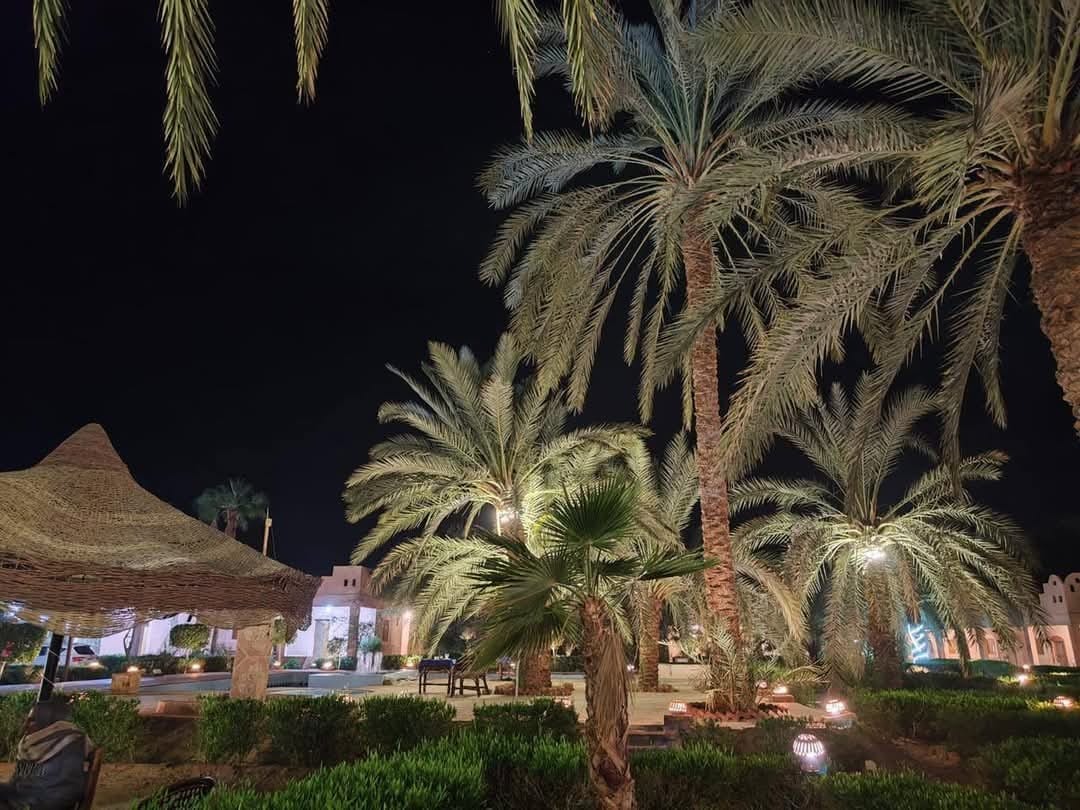 شمس سيوه — 11