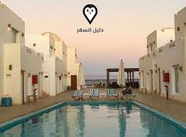 روكيتا — 7