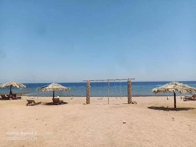 ميامي بيتش — 9