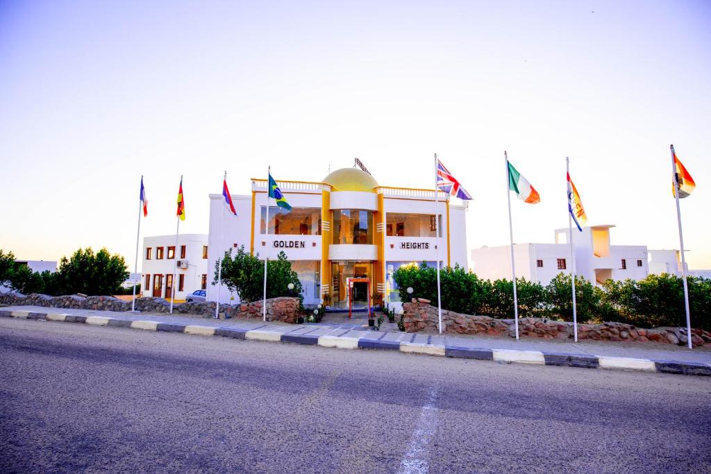 جولدن هايتس — 11