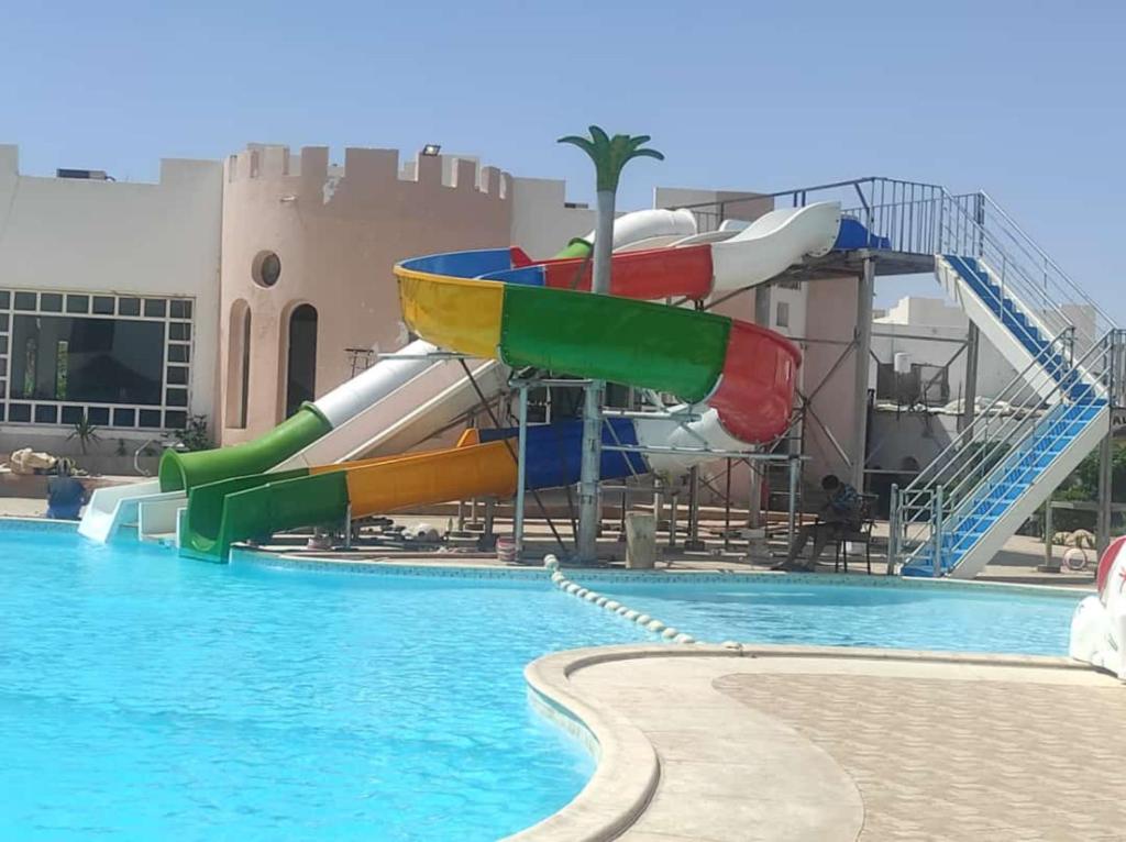 هالومي — 13