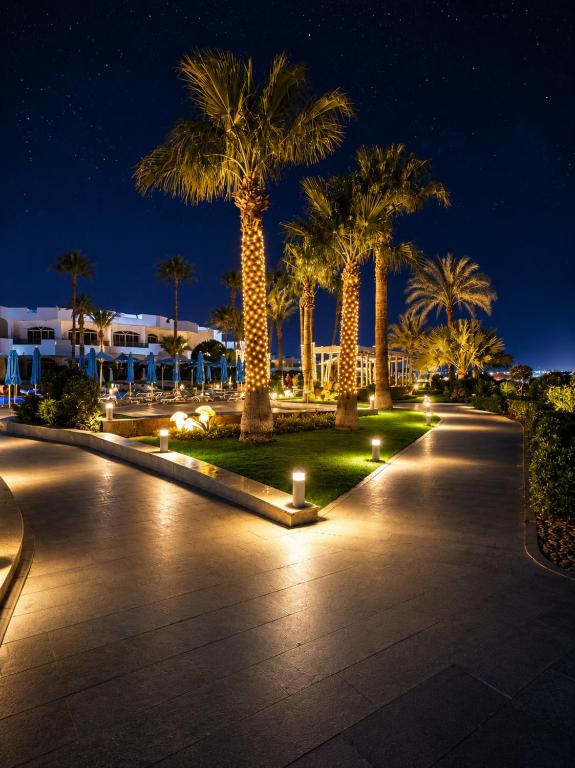 نعمه باي — 5