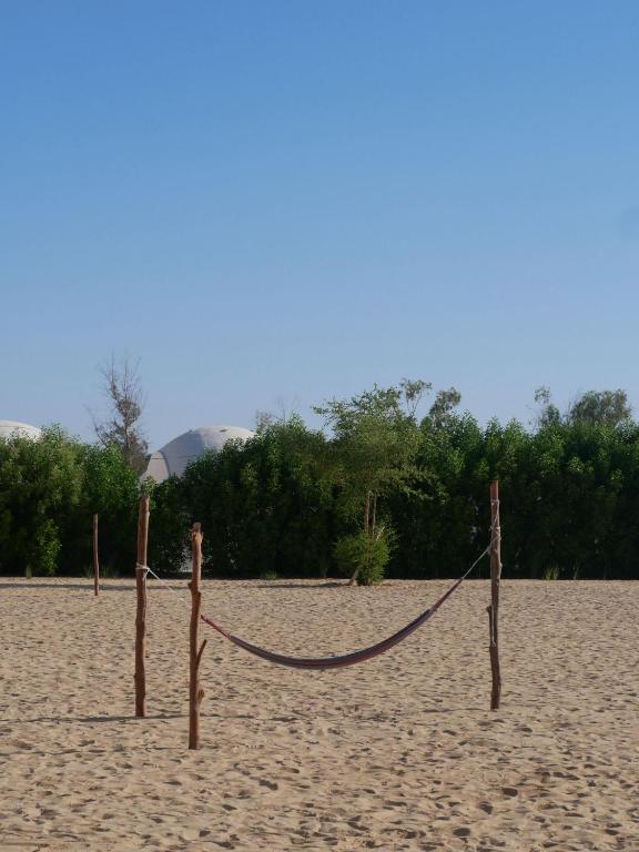 جازراشك — 15