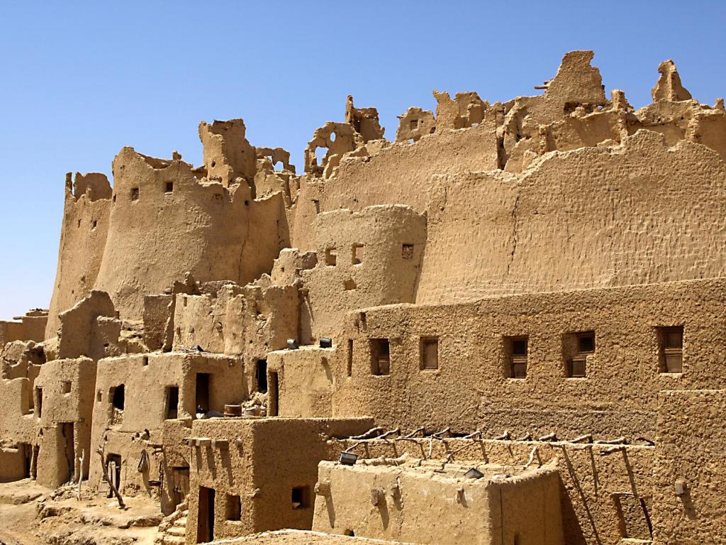 البابنشال — 6