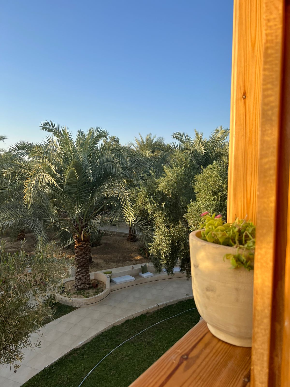 ميدور — 20