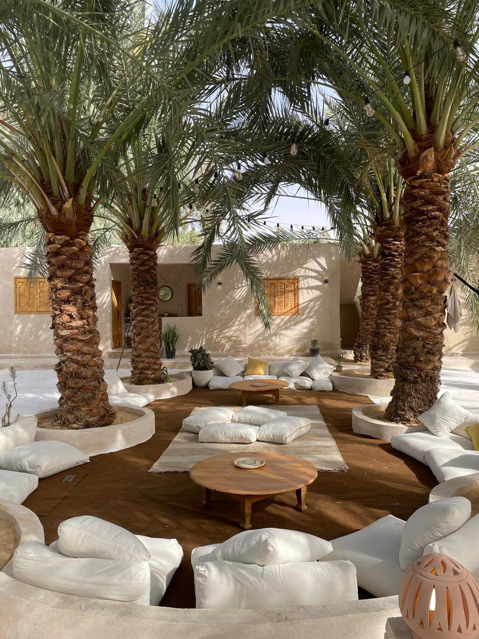 ميدور — 32