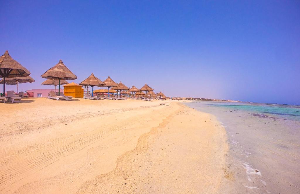 الاسكندر — 13