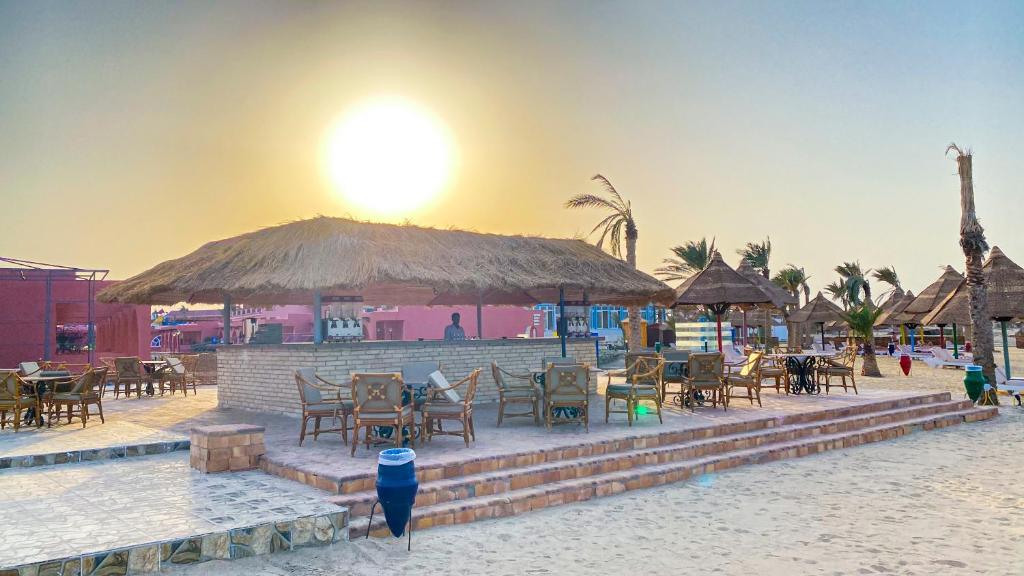 الاسكندر — 14