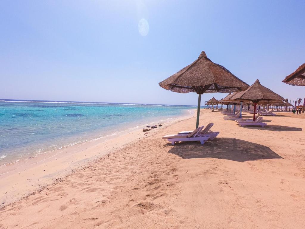 الاسكندر — 17