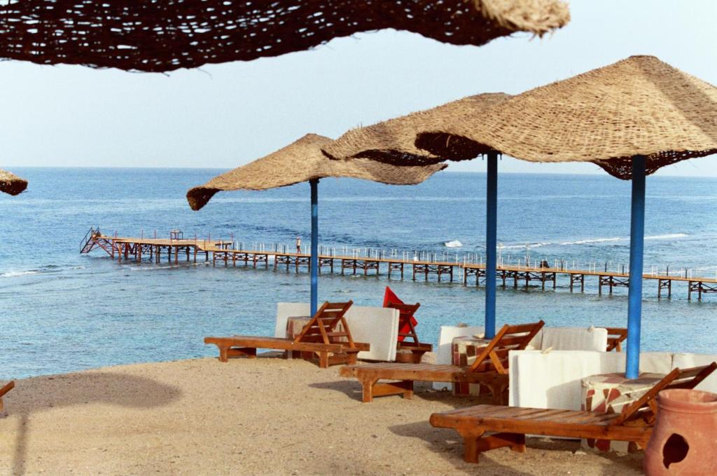 جاز سوليمار ريف — 9