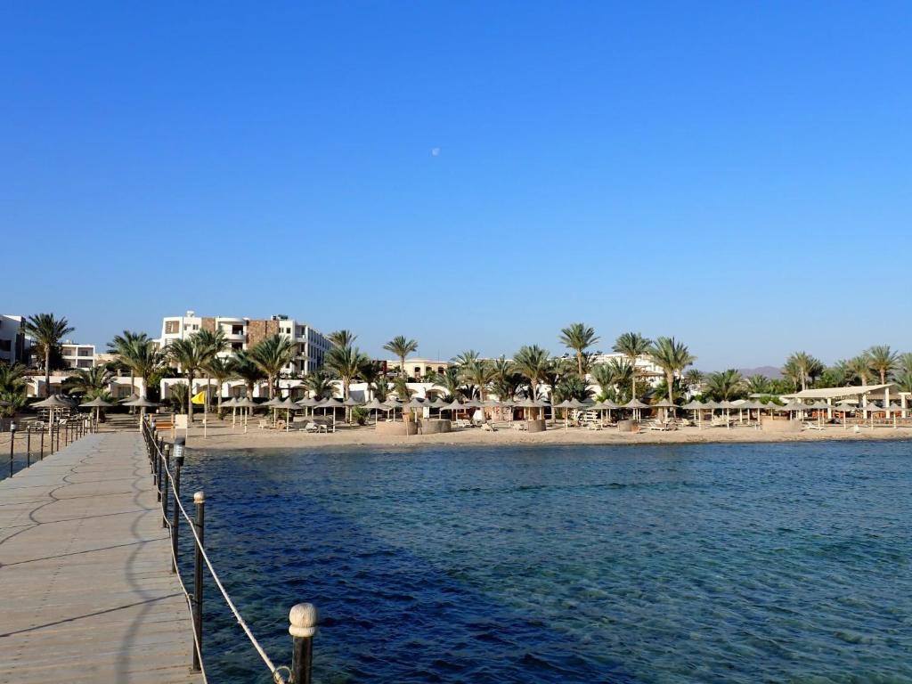 رويال بريكا — 5