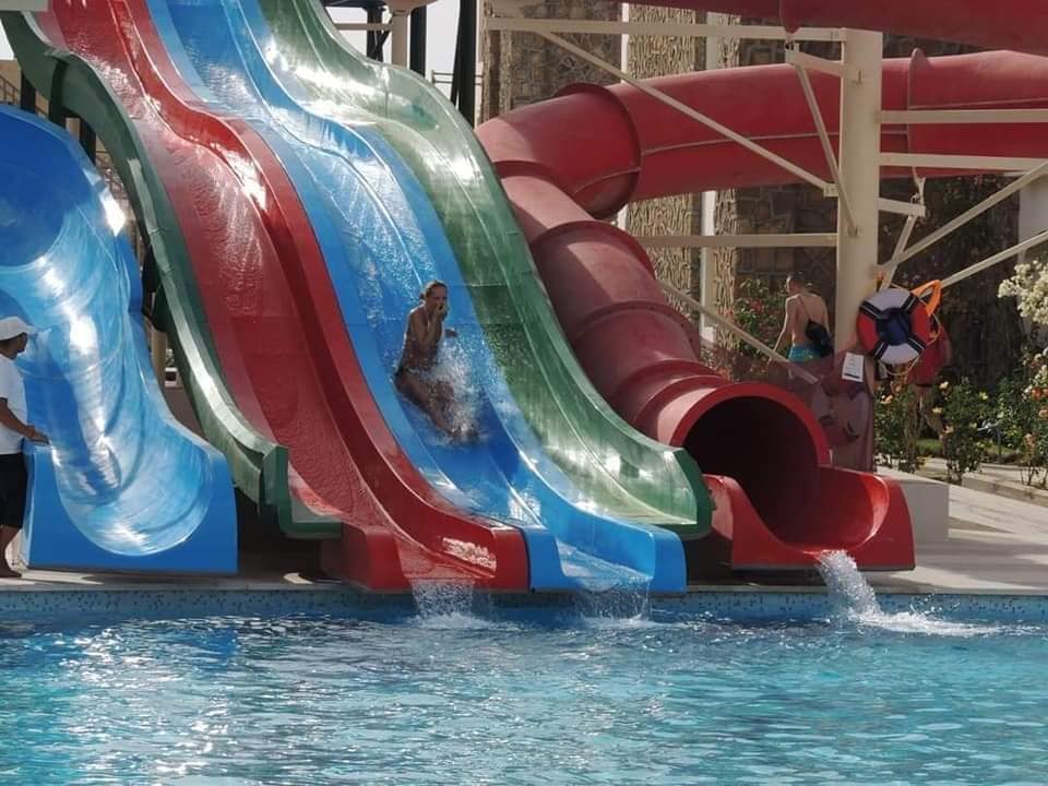 رويال بريكا — 6