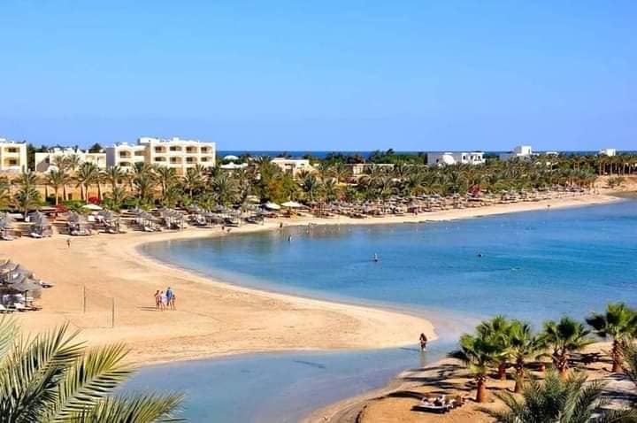 رويال بريكا — 16