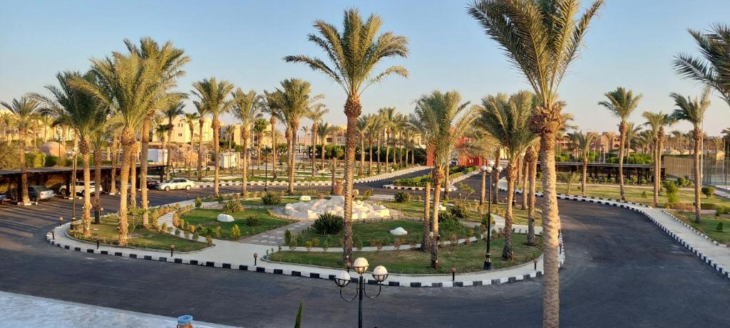 سويس تاتش — 5